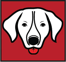 Yankum Ropes 5 Ft Dog Winch Leash - Image 7