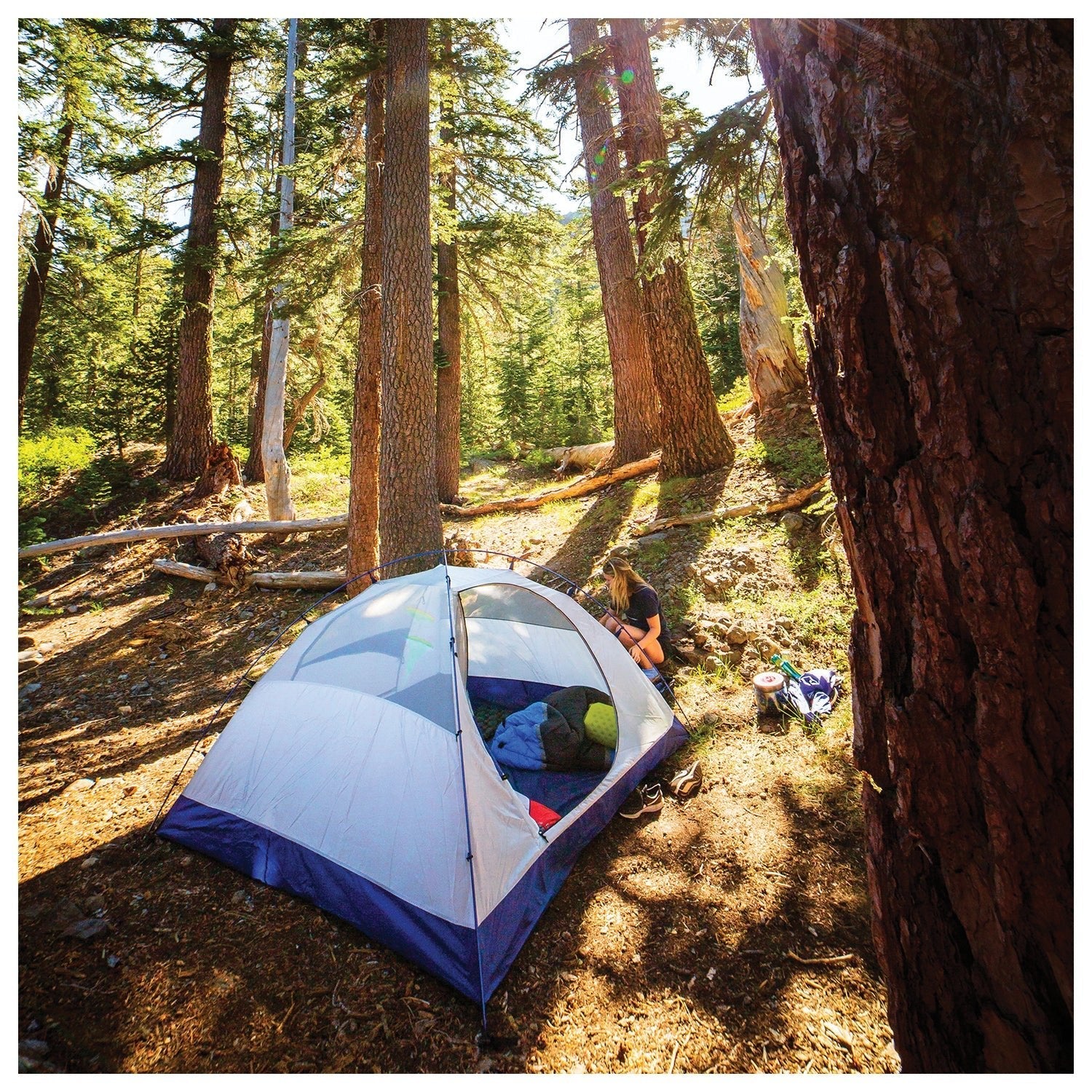 ALPS Mountaineering Lynx 2 Tent - Image 3