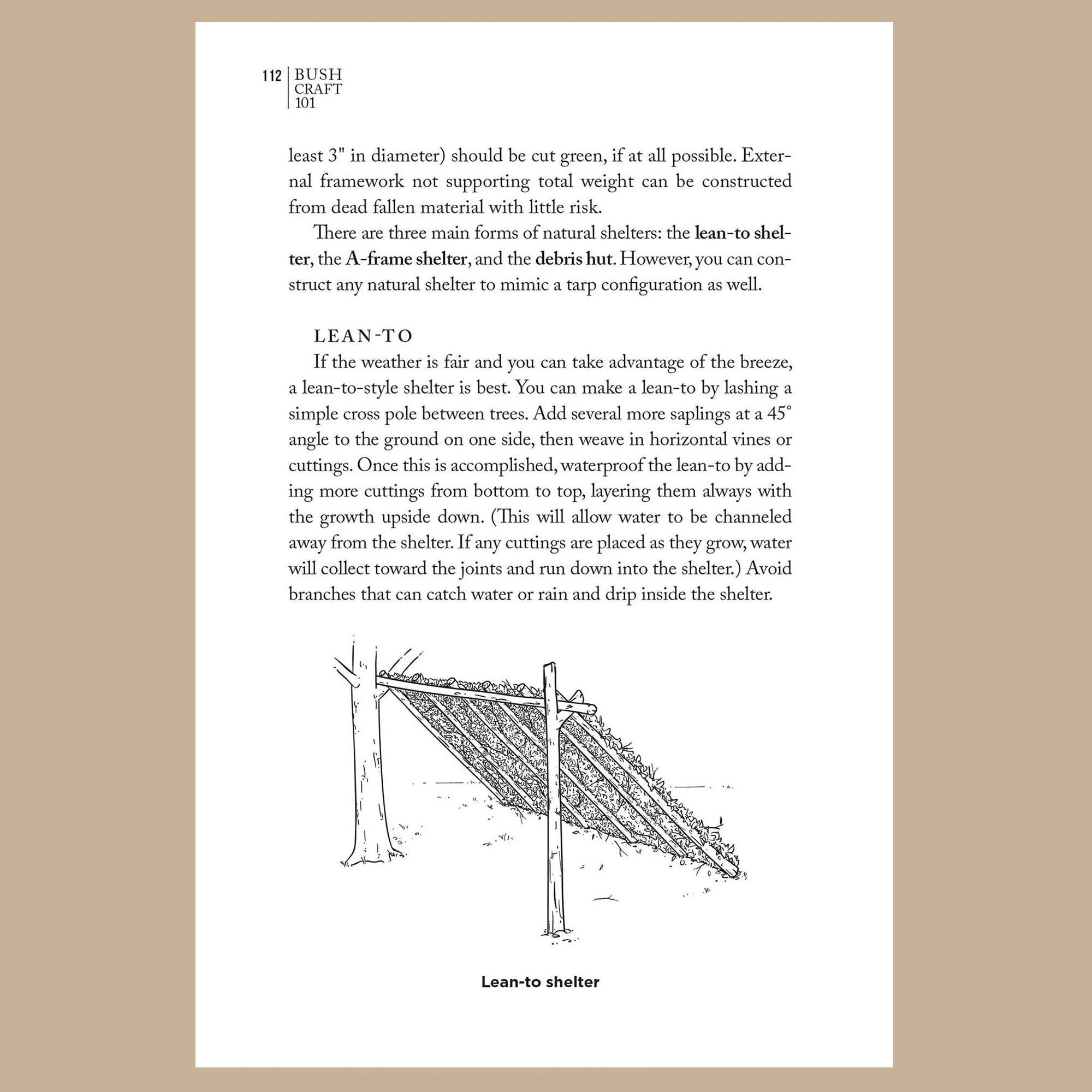 Bushcraft 101 - A Field Guide to Wilderness Survival - Image 6