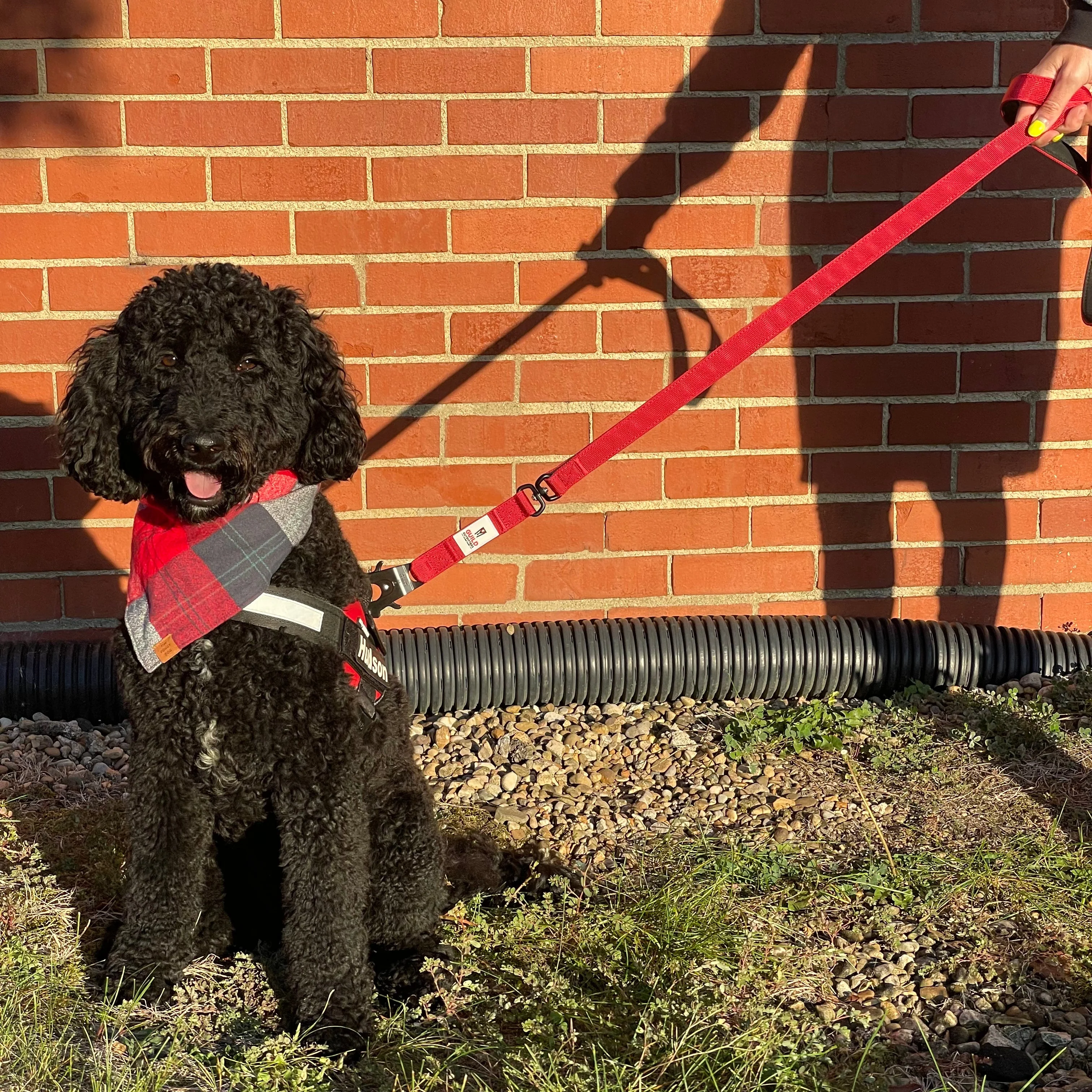 G.O. Overlanding Dog Leash - Image 8
