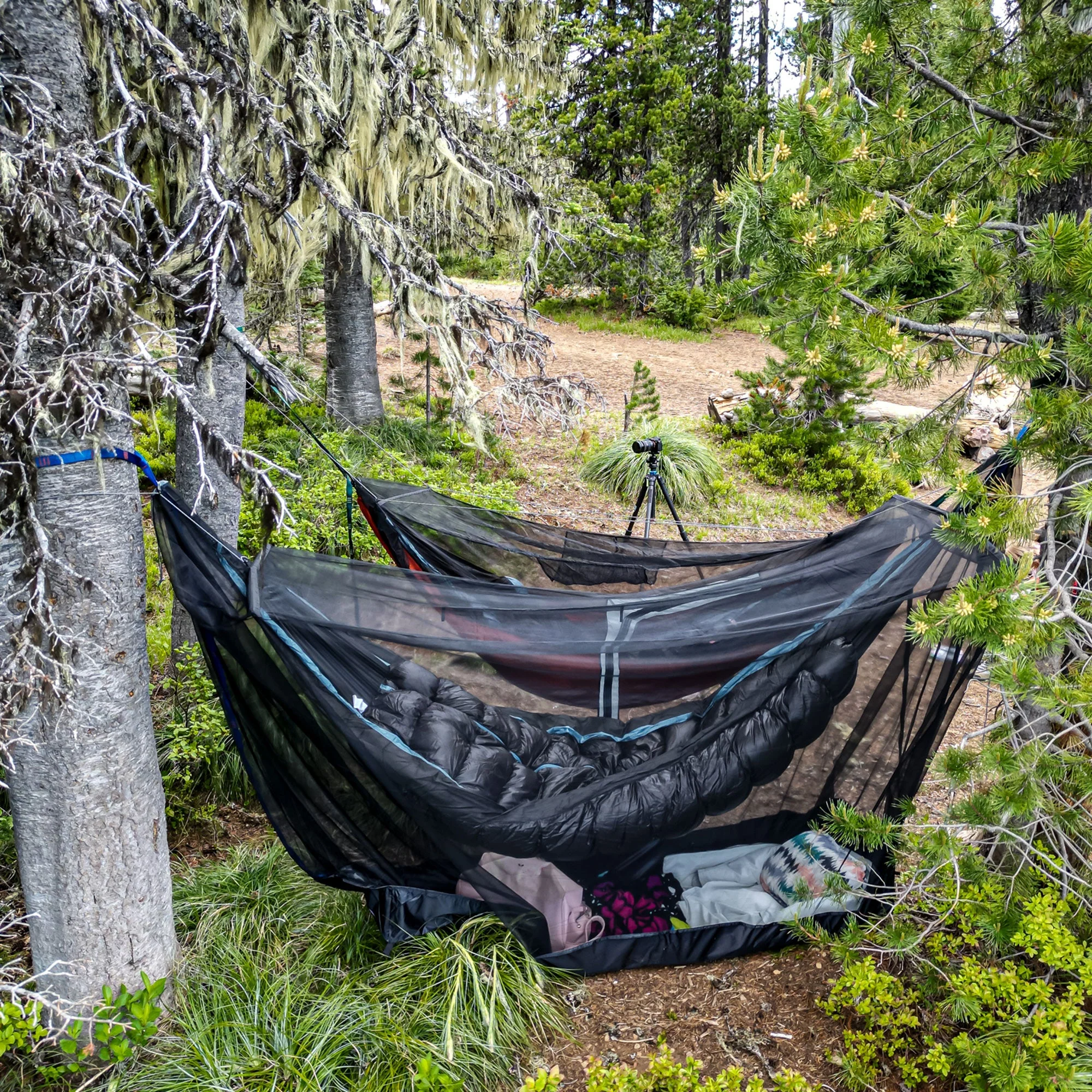 MOZZY 360 Hammock Bug Net Shelter - Image 8