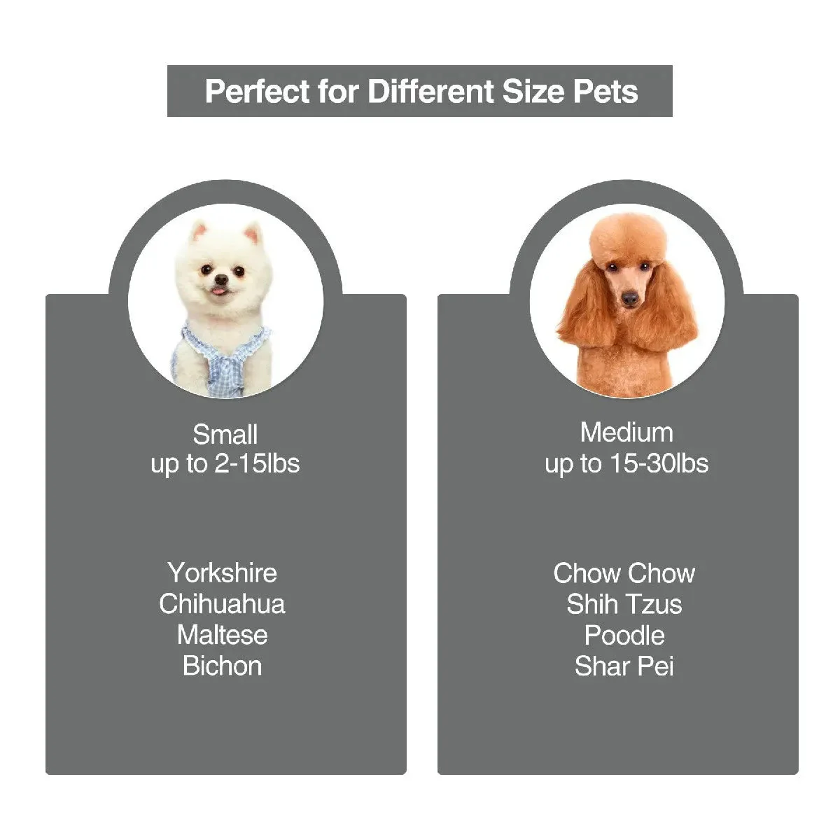 Pet Sofa Couch Bed for Small Dog and Cats - Image 7