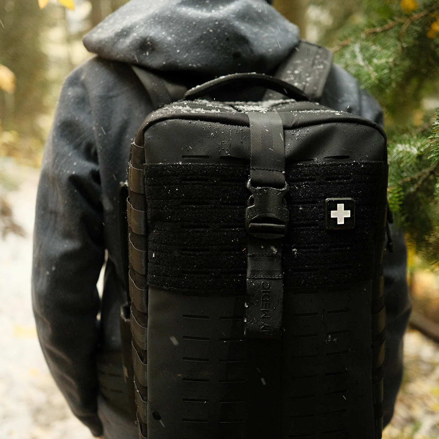 Scout - Image 18