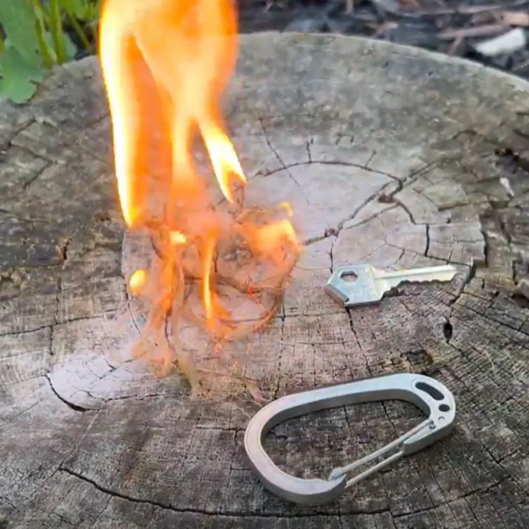 Sparky & Scratch Key - Image 4