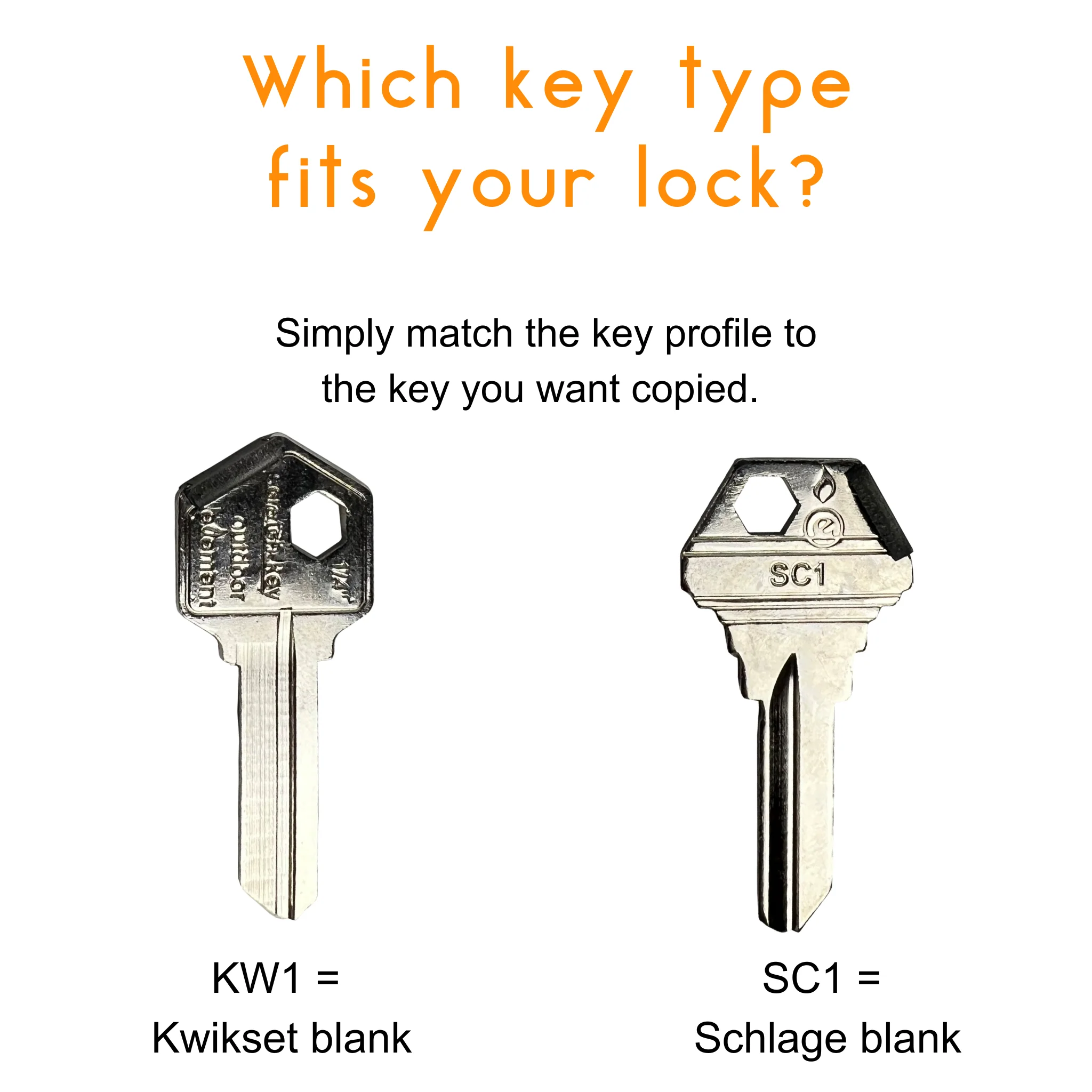 Sparky & Scratch Key - Image 7