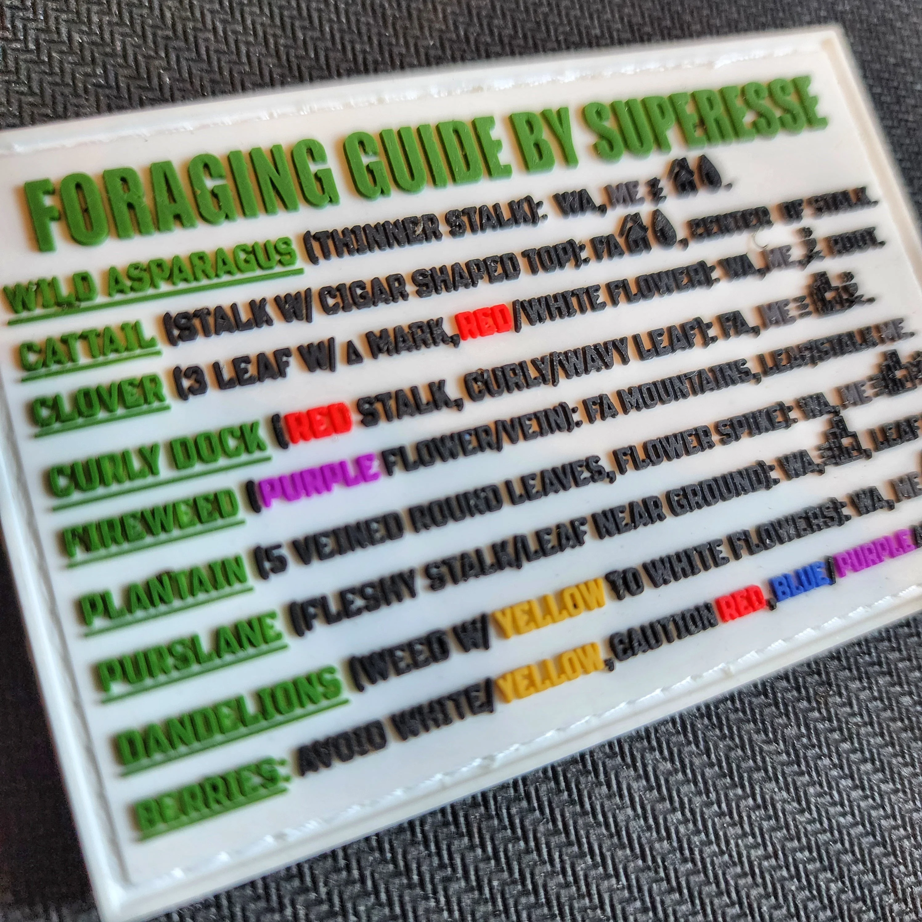 Storage Pocket Patch: "Foraging Guide", a Plants and Edibles Quick Identification Reference - Image 3