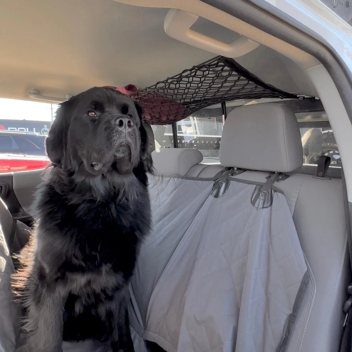 Toyota Tacoma Attic Storage Net - Image 6